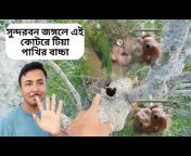 Sundarban Bangla