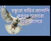 All Bangla Youtube Channel