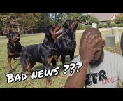 ZTR ROTTWEILERS
