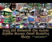 Srilankan modified buses
