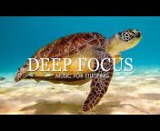 4K Video Nature - Focus Music