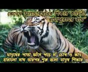Tales of Sundarban