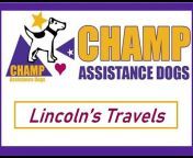 CHAMP Assistance Dogs