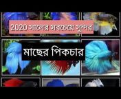 BLUE BIRBS BANGLA 2021