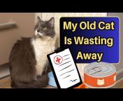 Senior Cat Wellness