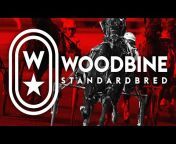 Woodbine Replays