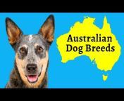 Dog Breeds FAQ Channel