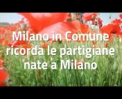 Milano in comune
