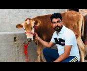 Brar Dairy farm moga