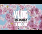 1H Vlog No Copyright Music !