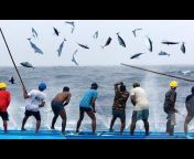 fishermen catch fish