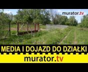 Murator tv