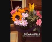 The Aquadolls