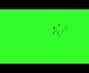 Mehedi - Green Screen Videos