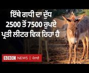 BBC News Punjabi