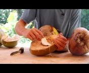 Coconut Information