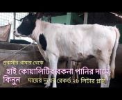 আল্লাহর দান ডেইরি ফার্ম (Allahar Dan Dairy Farm)