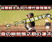 しくじりプロ野球ニュース【ゆっくり解説】