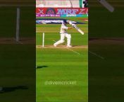Dive in cricket