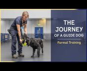 Guide Dogs