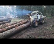 northman logging