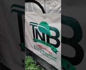 TNB Naturals