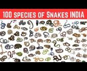 Snakes of India