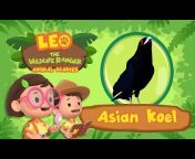 Leo the Wildlife Ranger - Official Channel