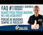 Fish Ok! Il Brand dell&#39;Arredo Natura e Acquari