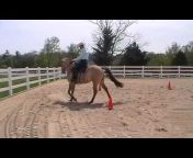 Dennis Cappel Horse Training u0026 Shoeing