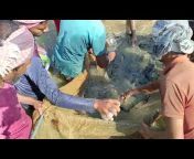 FISHING VIDEO BD 24