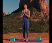 The Yoga Portal