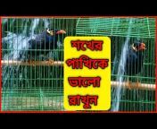 News 9 Bangla