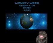Monkey Werx US