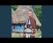 Ioan Bocșa - Topic