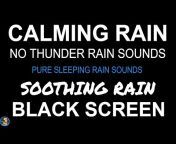 Pure Sleeping Rain Sounds