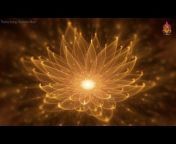 Positive Energy Relaxation Music