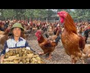 Tiep Nhan Farm