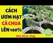 Nha Minh Vlog