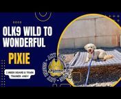 OLK9 Wild to Wonderful Dog Training
