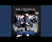 Mr Criminal