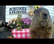 Chunk The Groundhog