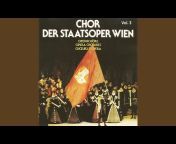 People Opera Orchestra Vienna (Volksoper Wien) - Topic