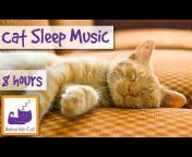 Relax My Cat - Relaxing Music for Cats