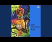 Various Indian Instrumentalists - Topic
