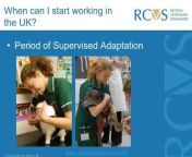 Royal College of Veterinary Surgeons (RCVS)