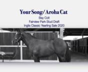 Lot 608 Your Song/Aroha Cat Colt purchased Micheal Hickmott Racing from the 2020 Inglis Classic yearling sale.