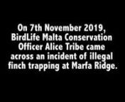 BirdLife Malta Conservation Officer verbally abused by trapper at Marfa Ridge.mp4 from 4 life