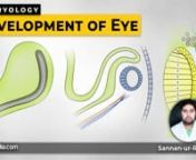 Learn Embryology with us! - Watch complete lectures on sqadia.com nhttps://www.sqadia.com/programs/development-of-eyennDevelopment of eye is the major point of accentuation of this sqadia.com medical V learning lecture. Initially, our educator has highlighted the sources of development, choroid fissure, retina, optic nerve, lens, sclera, choroid and ciliary body. Furthermore, development of iris, cornea, clinical correlations along with the lacrimal sac, nasolacrimal duct and certain anomalies o