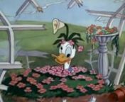 Truant Officer Donald is an animated short film produced in Technicolor by Walt Disney Productions and released to theaters on August 1, 1941 by RKO ... The story features Donald Duck working as a truant officer and making sure that Huey, ...